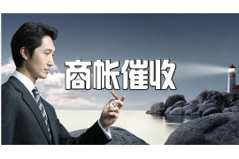 建宁债务清欠服务